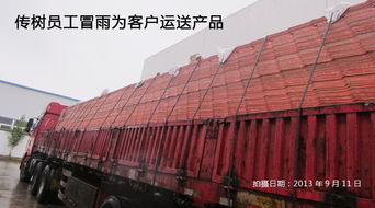 传树建材 引领绿色建筑新风尚——探索新型环保建材超强聚酯瓦